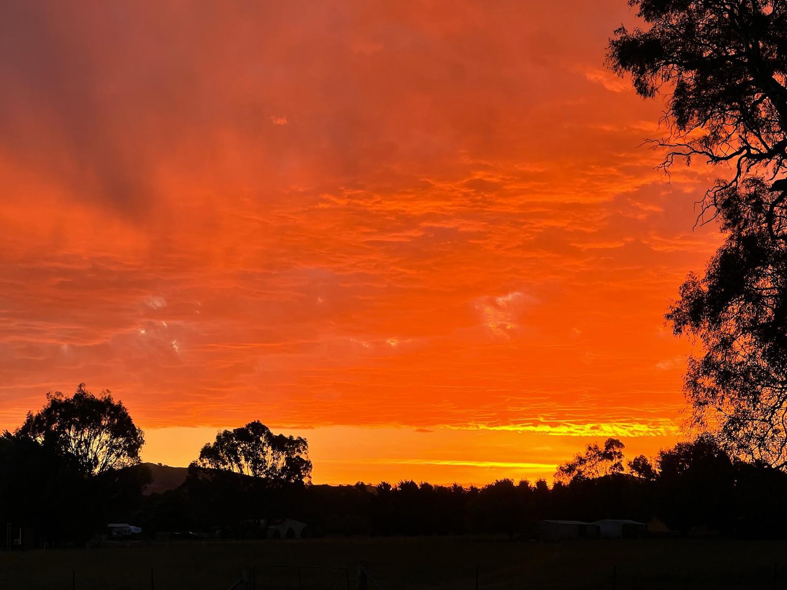 Brilliant orange sunset above the farm.